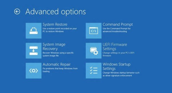 bios5-600x324.jpg